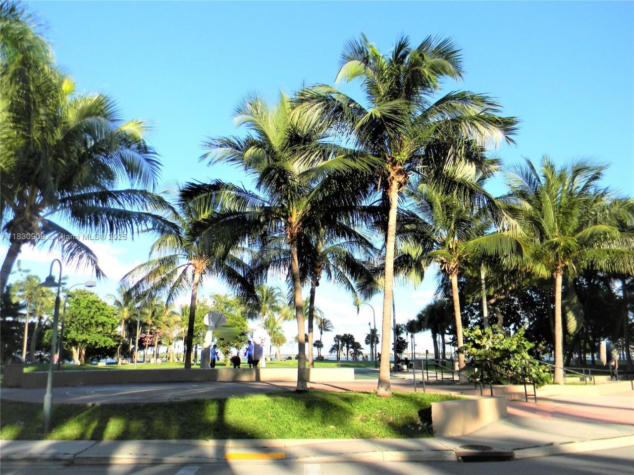 2000 N Bayshore Dr, Unit 509, Miami, FL 33137 Photo