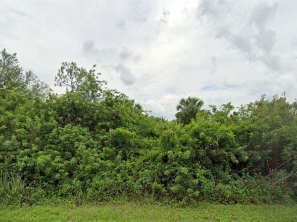 1232 Amherst St E, Lehigh Acres, FL 33974