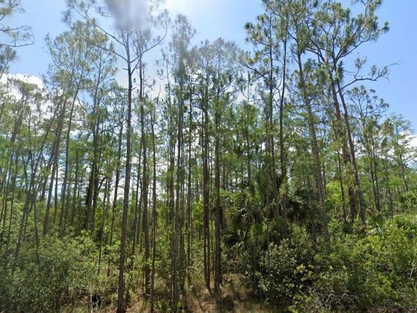 1903 Weller Ave, Lehigh Acres, FL 33972