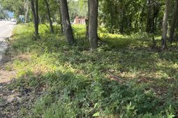 1206 Folly Road photo 4