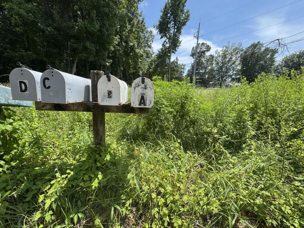 1206 Folly Road Photo 4