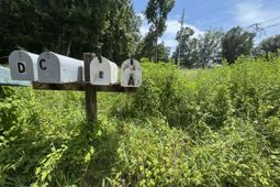 1206 Folly Road photo 4