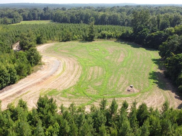 9390 Hopewell Road, Lizella, GA 31052