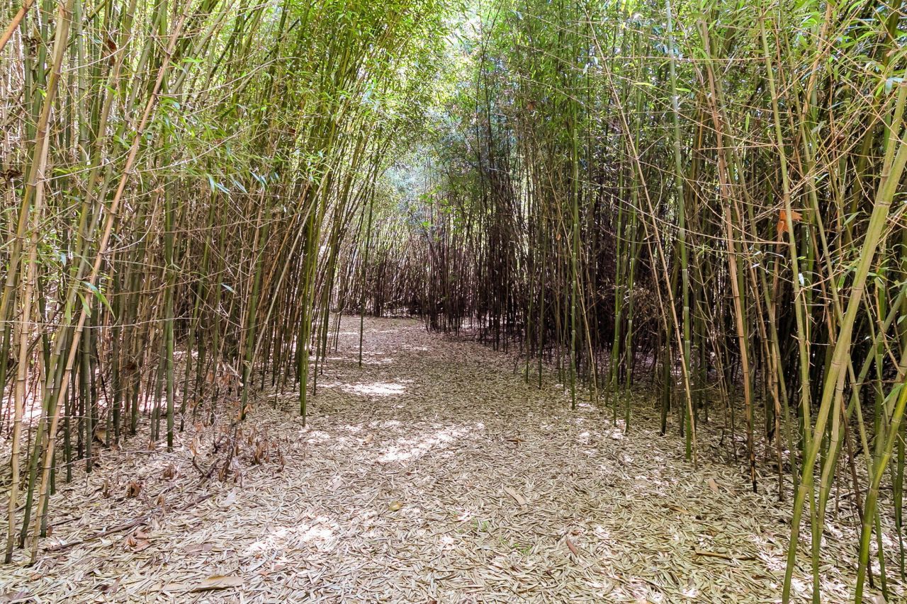 500 N Parler Avenue Photo 21