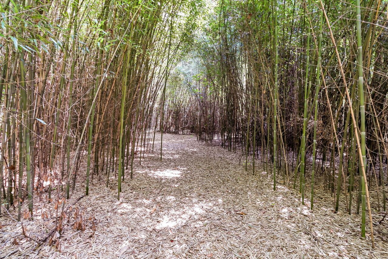 500 N Parler Avenue Photo 22