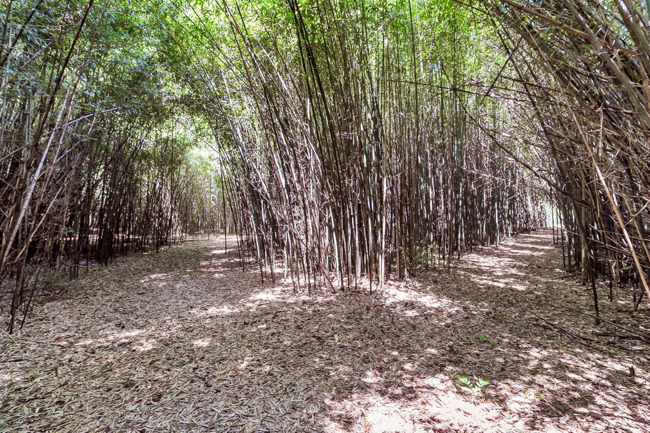 500 N Parler Avenue Photo 23