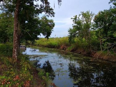 9117 E ROYAL PALM DRIVE, INVERNESS, FL 34450