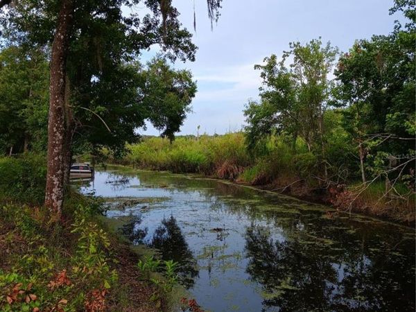 9117 E ROYAL PALM DRIVE, INVERNESS, FL 34450