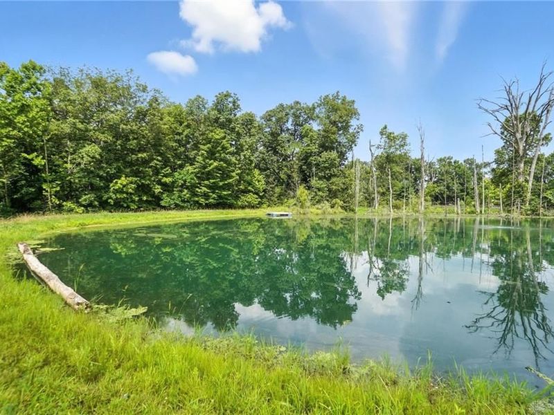 6845 Cozaddale Road, Goshen, OH 45122 Photo 31