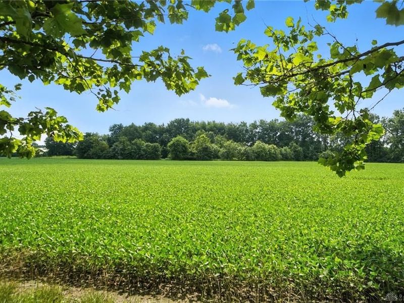 6845 Cozaddale Road, Goshen, OH 45122 Photo 34