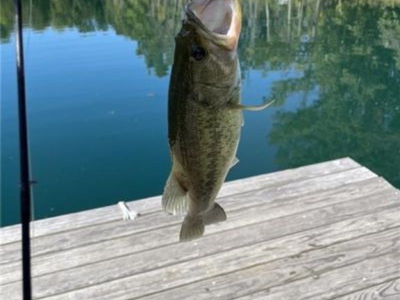 6845 Cozaddale Road, Goshen, OH 45122 Photo 36