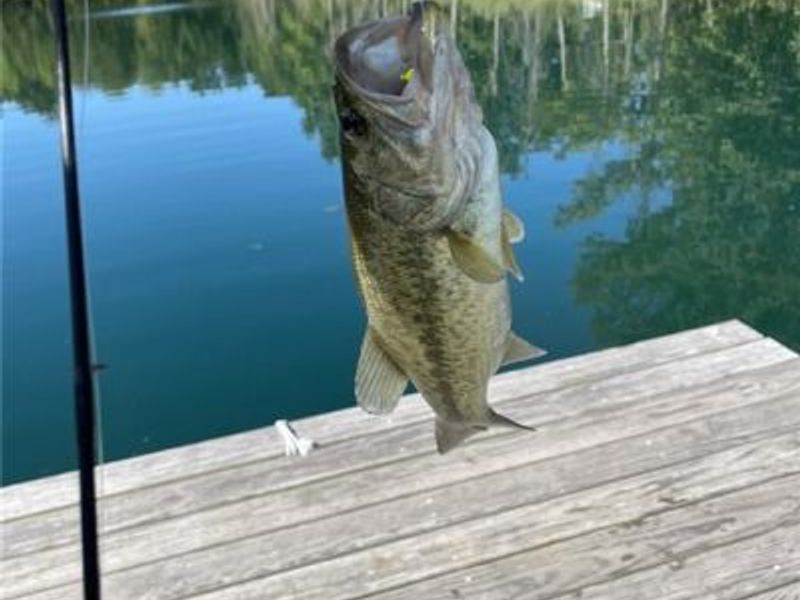 6845 Cozaddale Road, Goshen, OH 45122 Photo 37