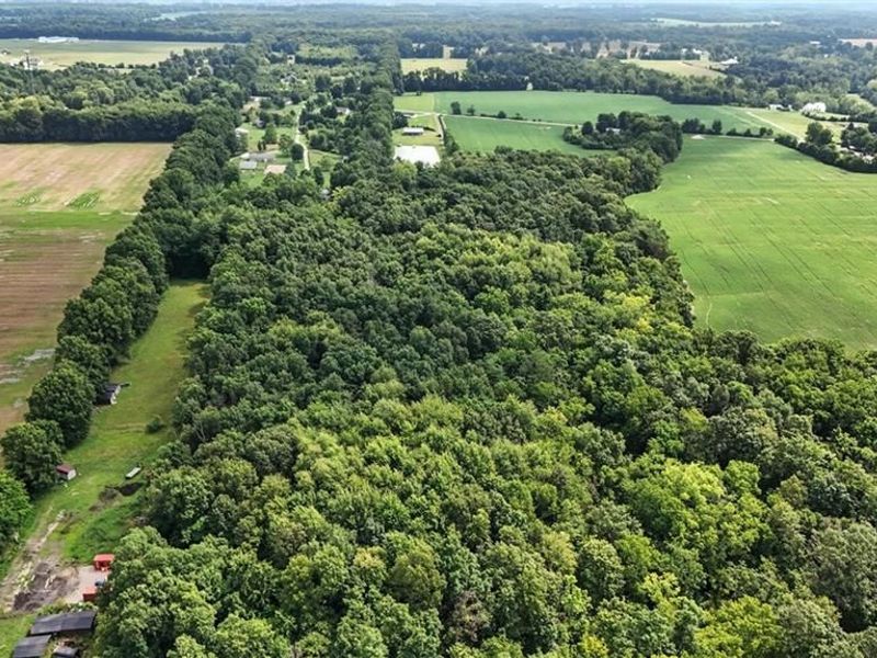 6845 Cozaddale Road, Goshen, OH 45122 Photo 7