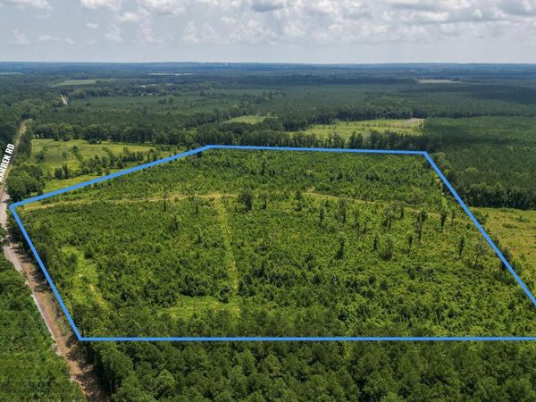 OLD WARREN Road, Monticello, AR 71655