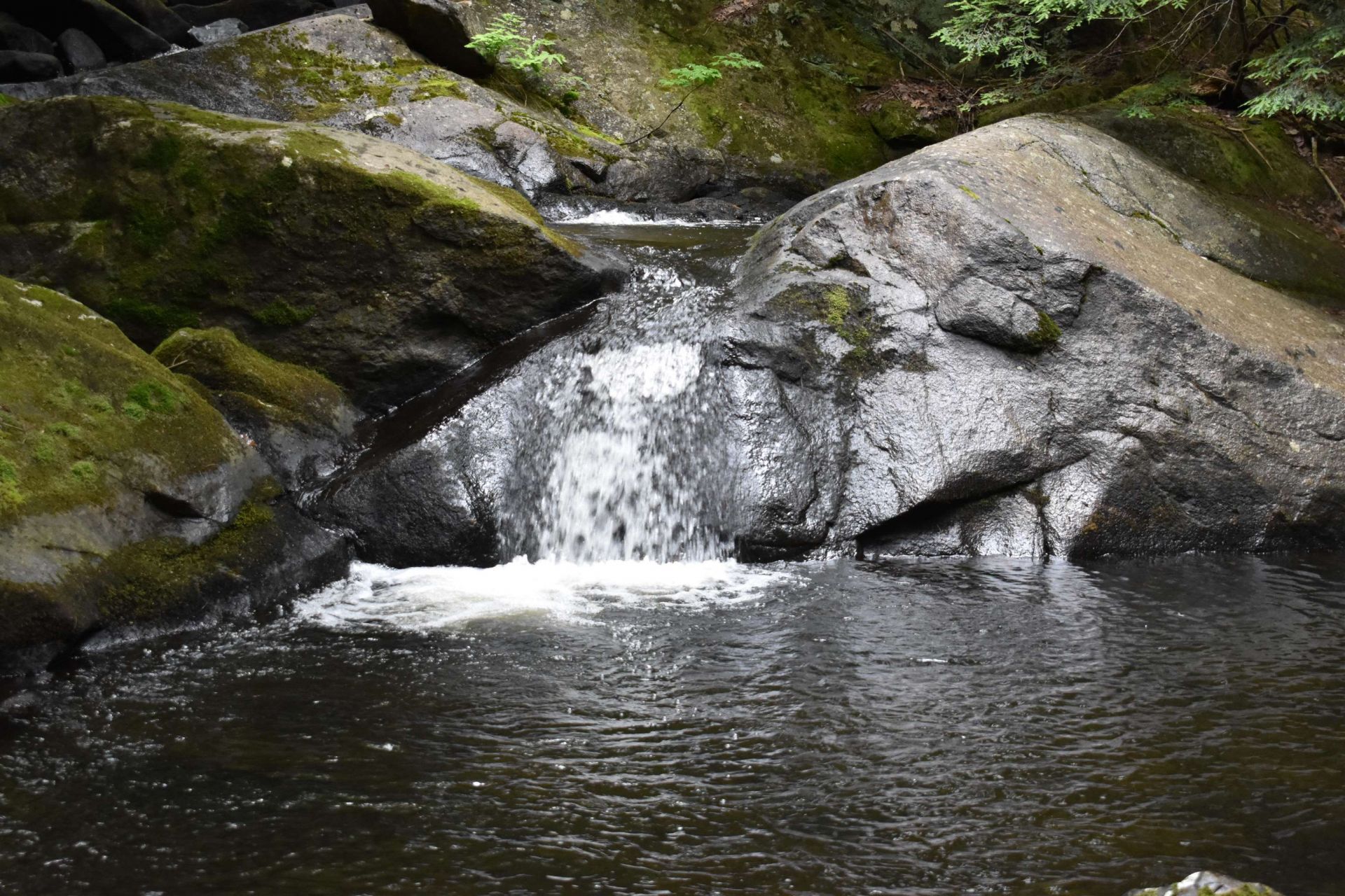 Saunders Hill Road, Wentworth, NH 03282 Main Photo