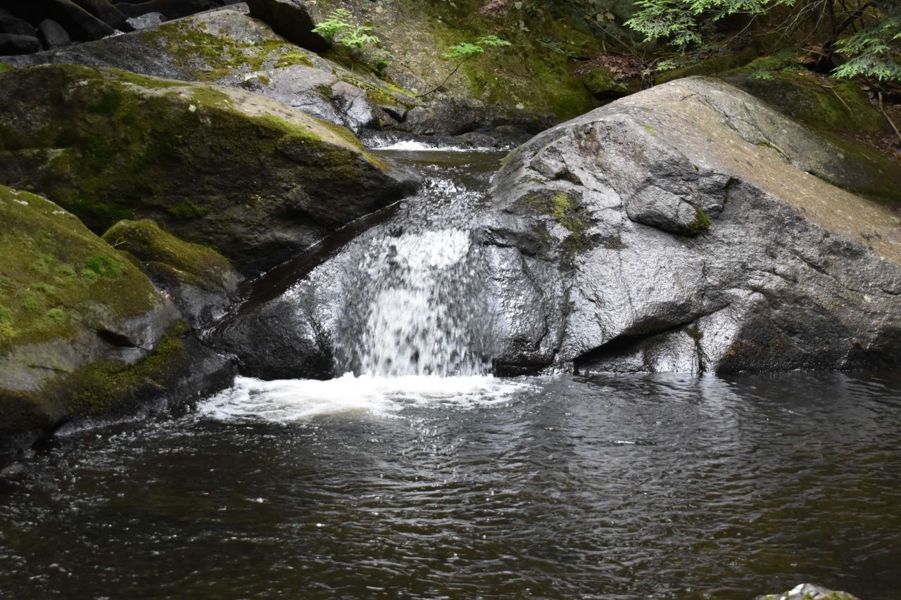 Saunders Hill Road, Wentworth, NH 03282 Main Photo