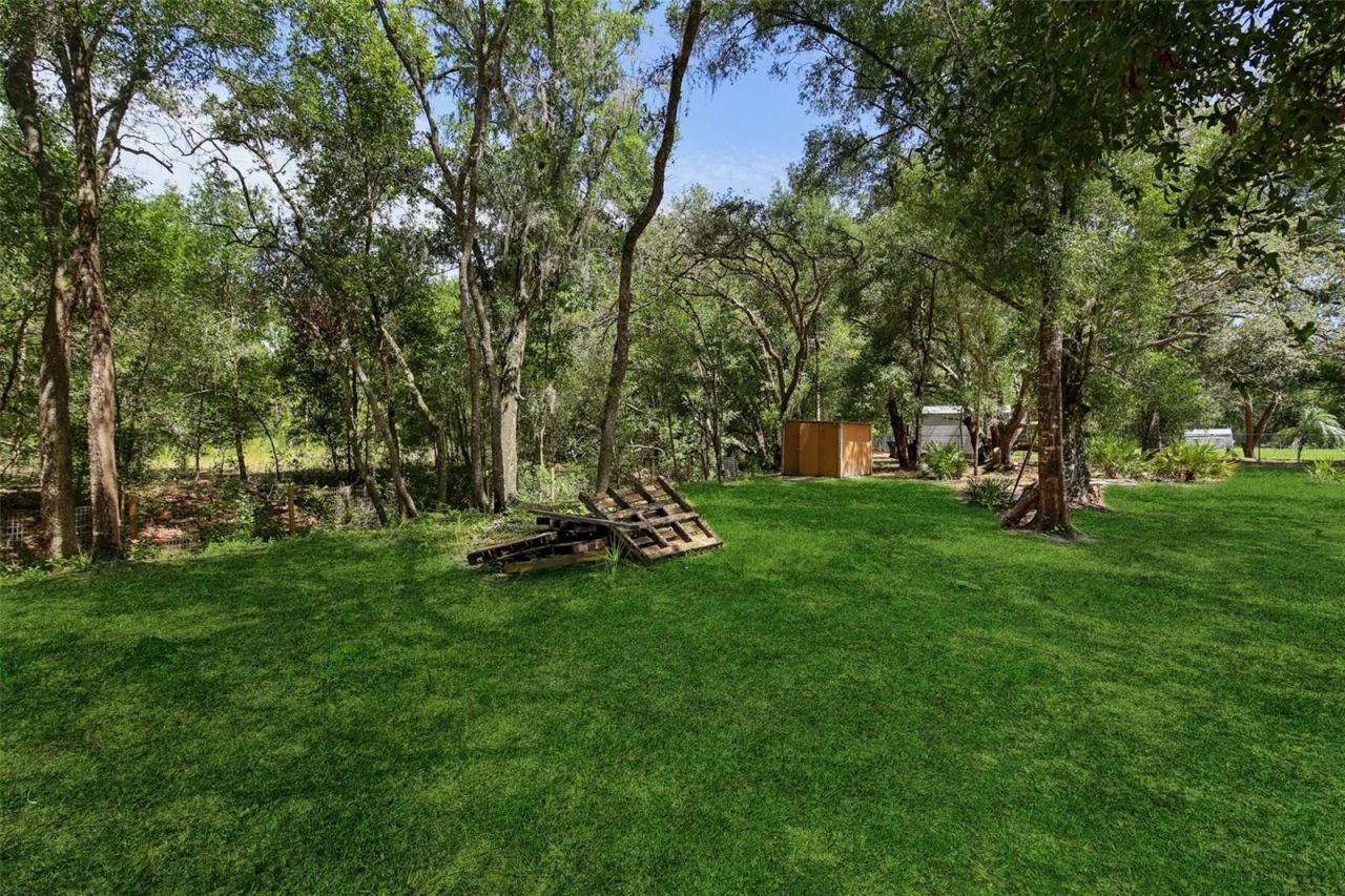 33433 Loop Court, Webster, FL 33597 Photo