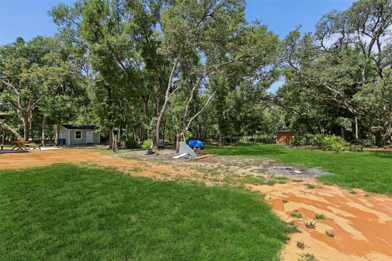 33433 Loop Court, Webster, FL 33597 Photo