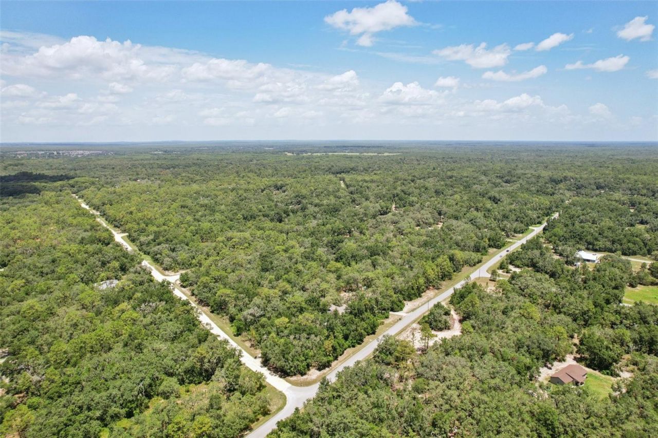 33433 Loop Court, Webster, FL 33597 Photo