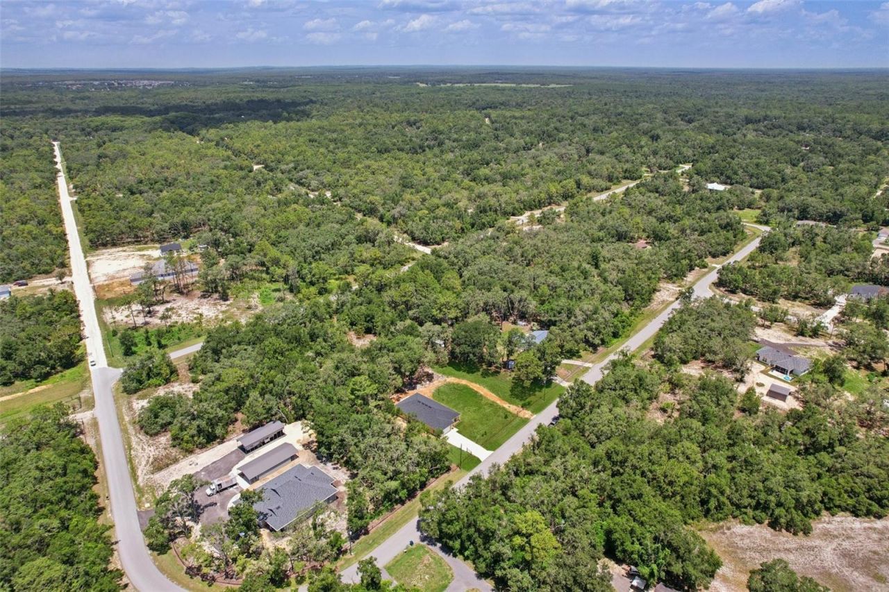 33433 Loop Court, Webster, FL 33597 Photo