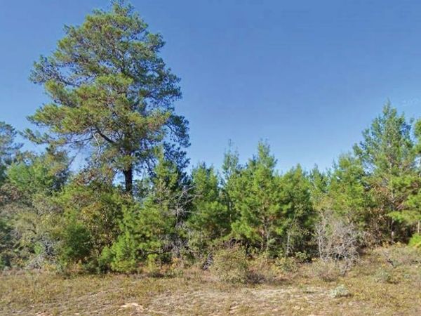 DUMAJACK ROAD, CHIPLEY, FL 32428