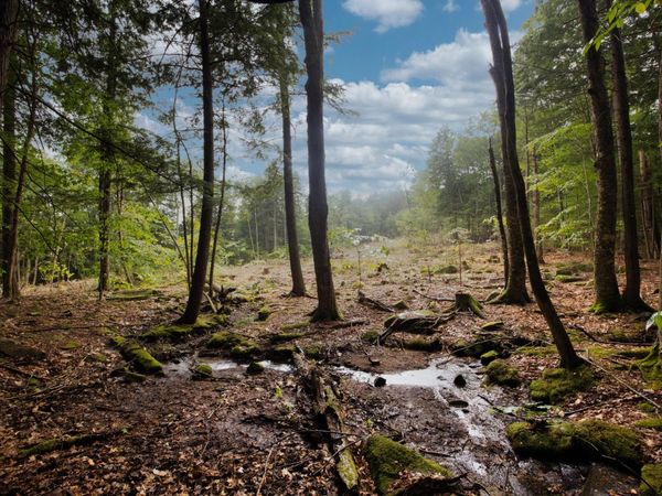 Lot 2 North Road, Bridgton, ME 04009