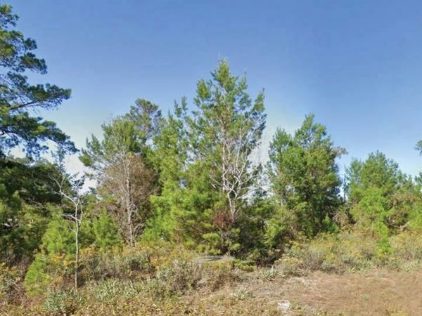 DUMAJACK ROAD, CHIPLEY, FL 32428