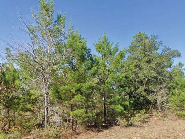 DUMAJACK ROAD, CHIPLEY, FL 32428