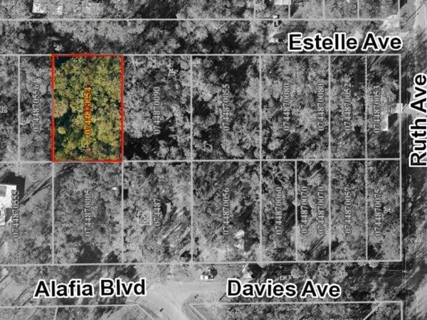 931 ESTELLE AVENUE, BRANDON, FL 33511