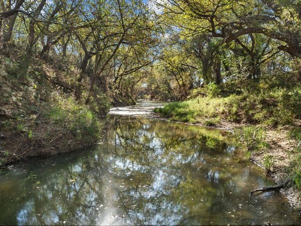 TBD County Road 136, Coleman, TX 76834