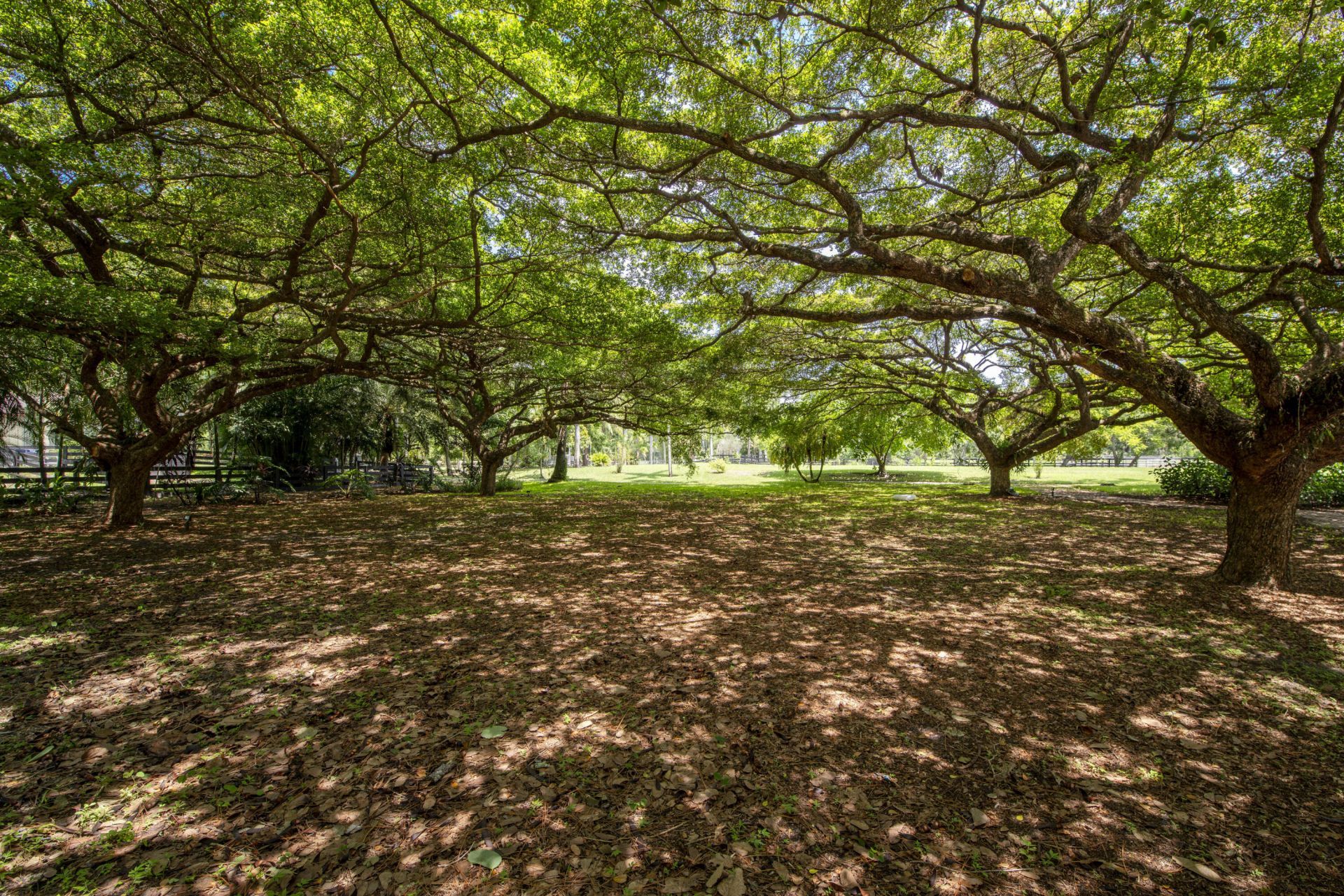 13395 Running Water Road, Palm Beach Gardens, FL 33418 Photo