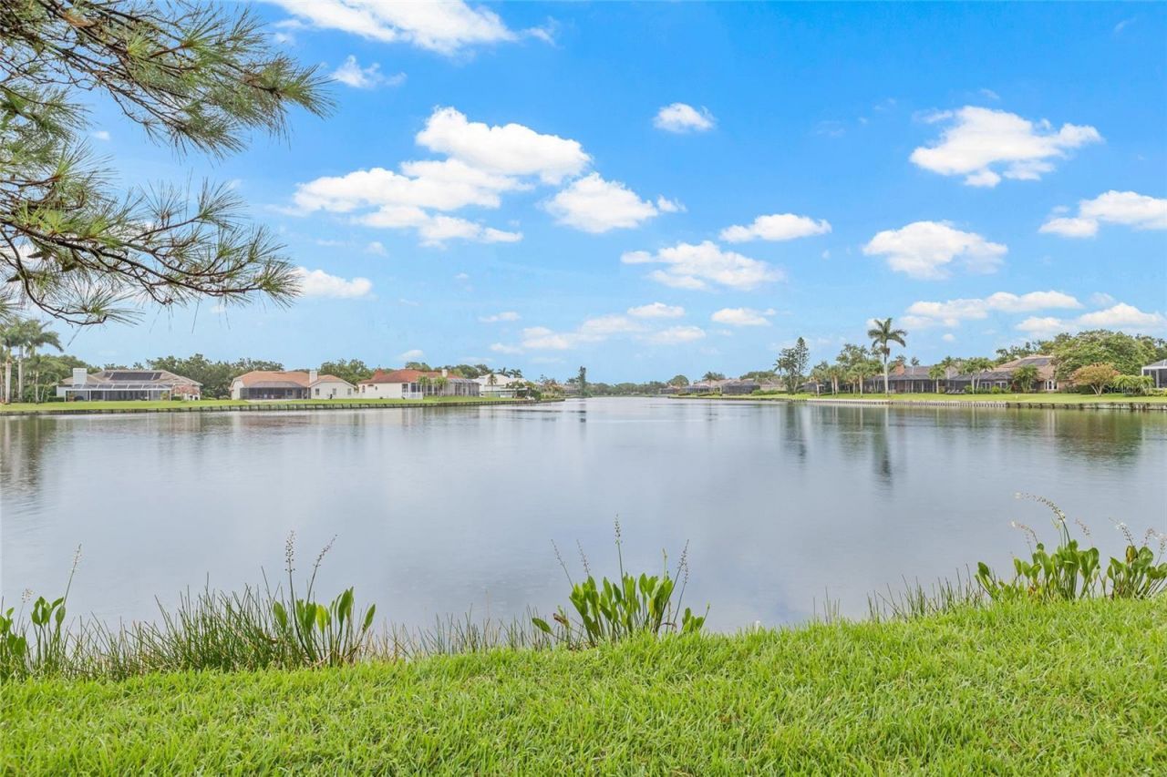 699 Malta Court Ne, Saint Petersburg, FL 33703 Photo