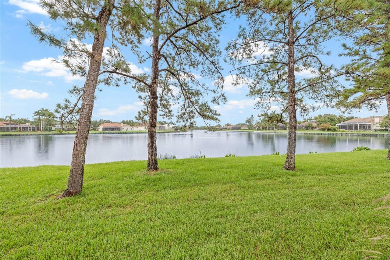 699 Malta Court Ne, Saint Petersburg, FL 33703 Photo