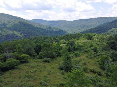 Linwood Rd, Slatyfork, WV 26291