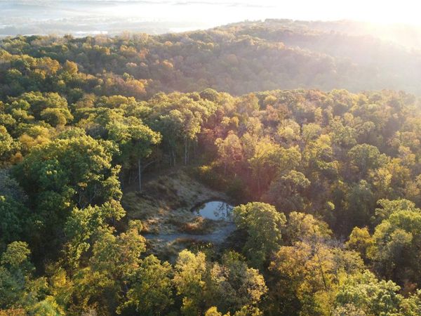 78+/- Acres TBD W Blanding Road, HANOVER, IL 61041