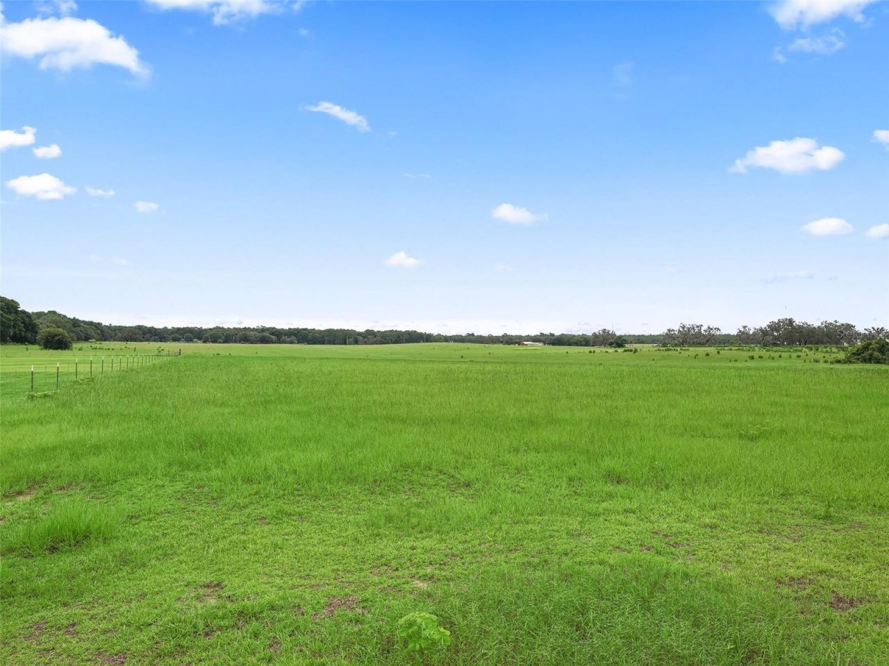 8567 Cr 635, Bushnell, FL 33513 Photo