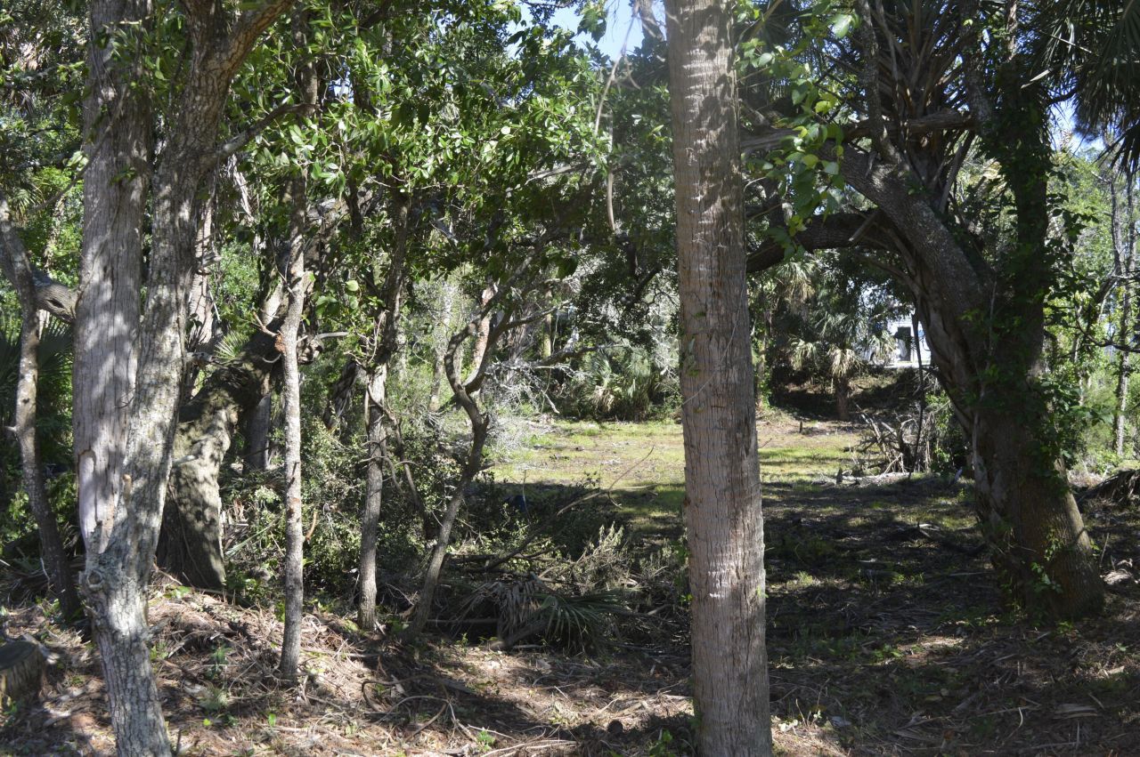 916 E Ashley Avenue Photo 10