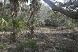 916 E Ashley Avenue photo 4