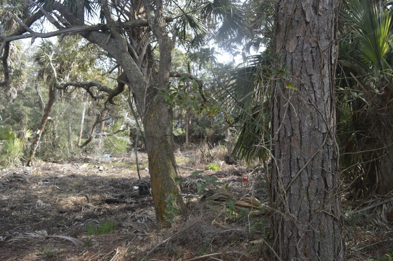 916 E Ashley Avenue Photo 6