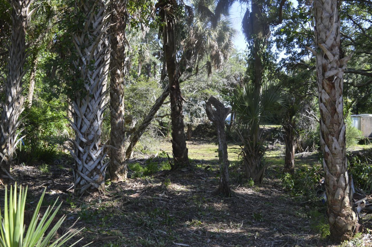 916 E Ashley Avenue Photo 8