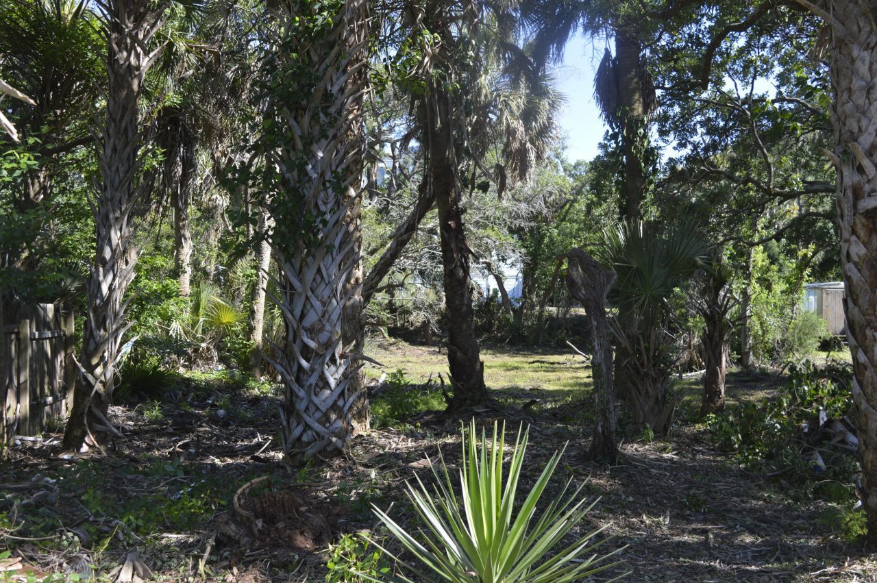 916 E Ashley Avenue Photo 9