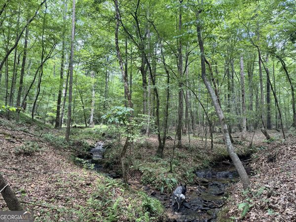 140+/- AC Hwy 100, Franklin, GA 30217