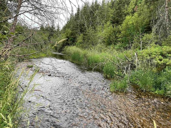 0 Highway 11, Pierce, ID 83546