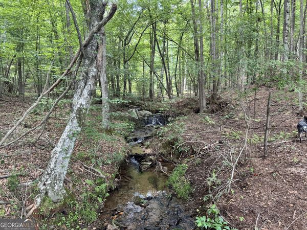 319 +/- AC Hwy 100, Franklin, GA 30217