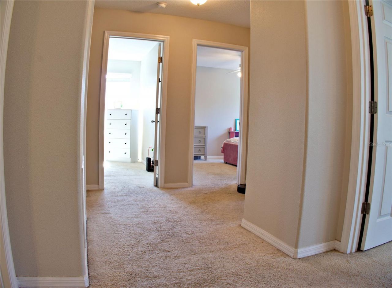 7338 Azalea Cove Circle, Orlando, FL 32807 Photo