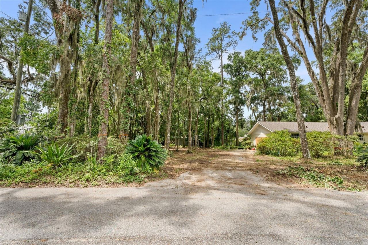 Tbd NW 6th Place, Gainesville, FL 32603 Photo