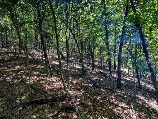 1255 Whippoorwill Road, Kansas, OK 74347