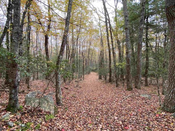 TBD HALTERMAN HOLLOW LN, MONTEREY, VA 24465