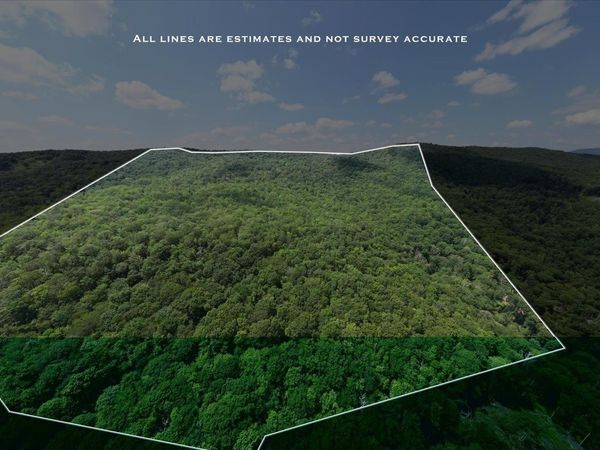 TBD HALTERMAN HOLLOW LN, MONTEREY, VA 24465