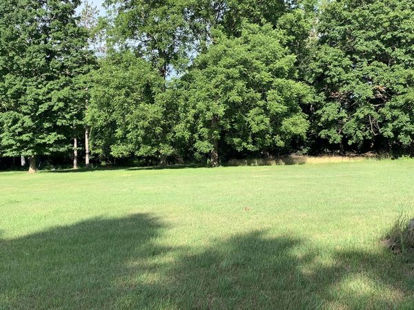 Lizzie Avenue, Hesperia, MI 49421